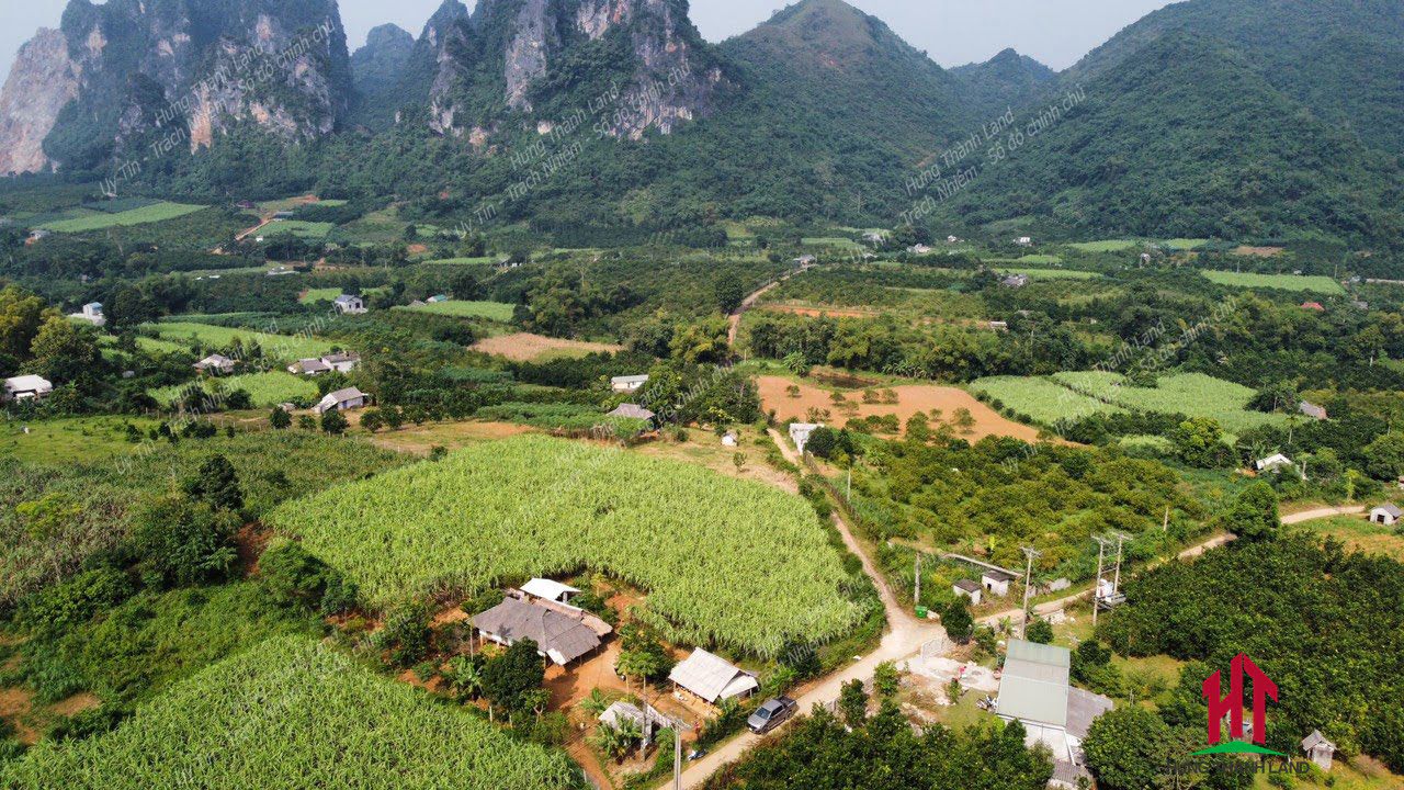 Hình ảnh Bán Đất Đẹp Giá Rẻ Tân Phong Cao Phong 2000m2